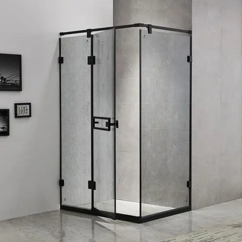 1200 x 700 shower enclosure with hinged door